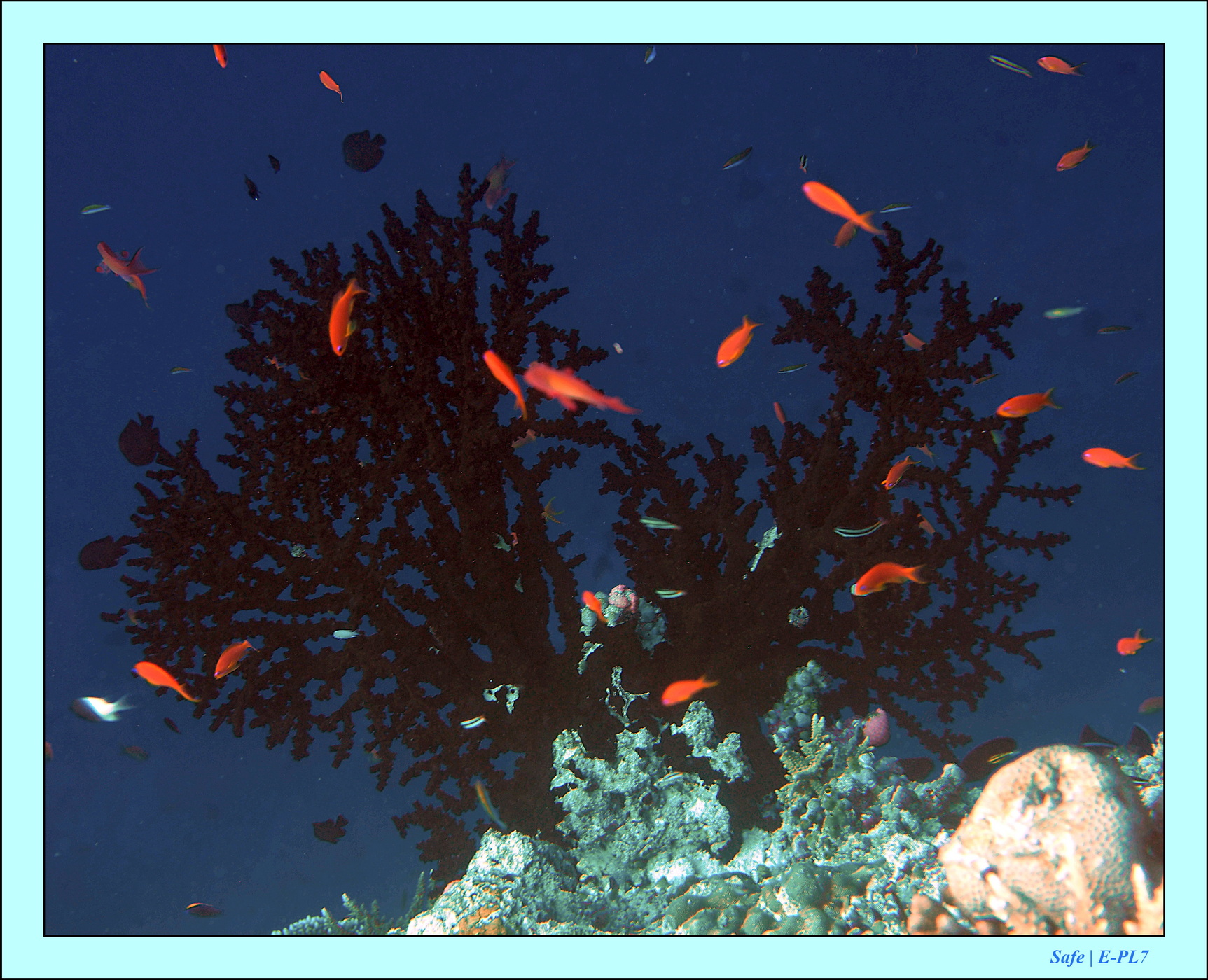 2023 - 07 - Sandies Bathala - 220